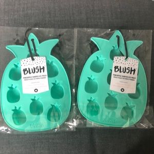 Two Blush Pineapple Shaped Ice Mold